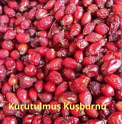 Kurukuşburnu, kuşburnuçayı,